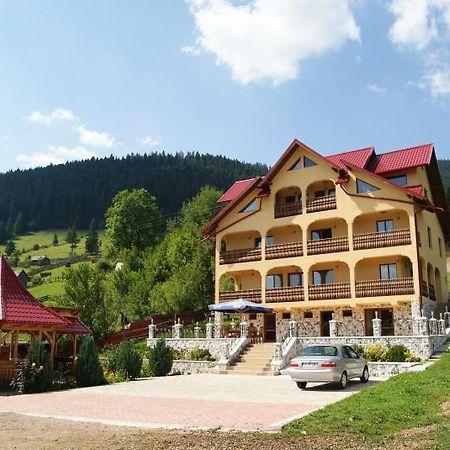 Hotel Pensiunea Alunis Sadova  Zewnętrze zdjęcie