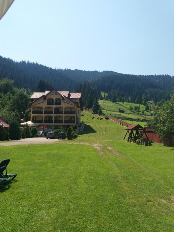 Hotel Pensiunea Alunis Sadova  Zewnętrze zdjęcie