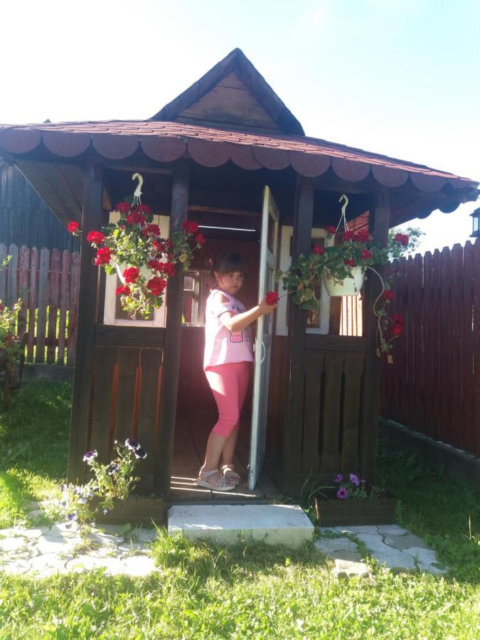 Hotel Pensiunea Alunis Sadova  Zewnętrze zdjęcie