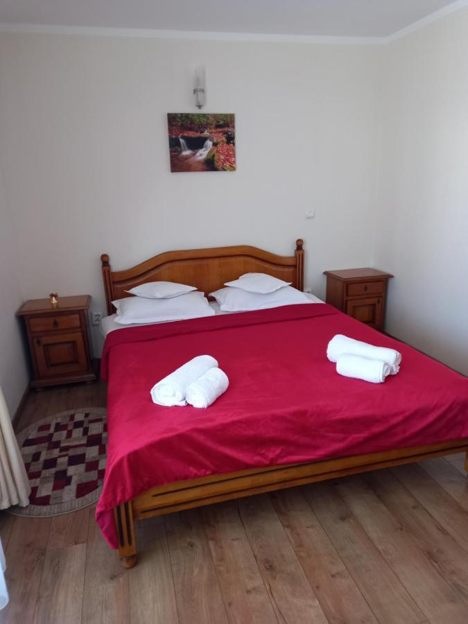 Hotel Pensiunea Alunis Sadova  Zewnętrze zdjęcie