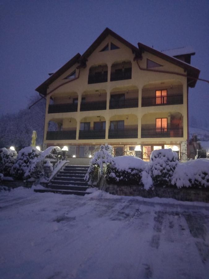 Hotel Pensiunea Alunis Sadova  Zewnętrze zdjęcie