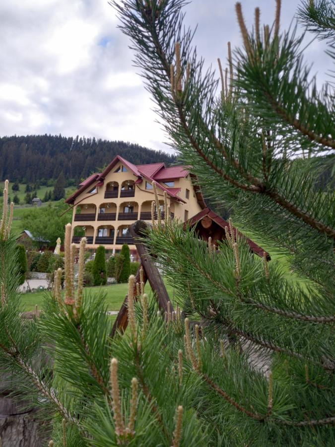 Hotel Pensiunea Alunis Sadova  Zewnętrze zdjęcie