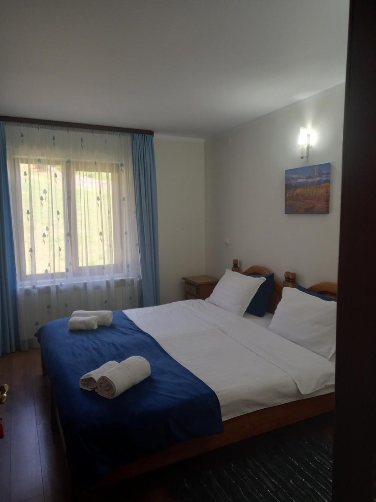 Hotel Pensiunea Alunis Sadova  Zewnętrze zdjęcie