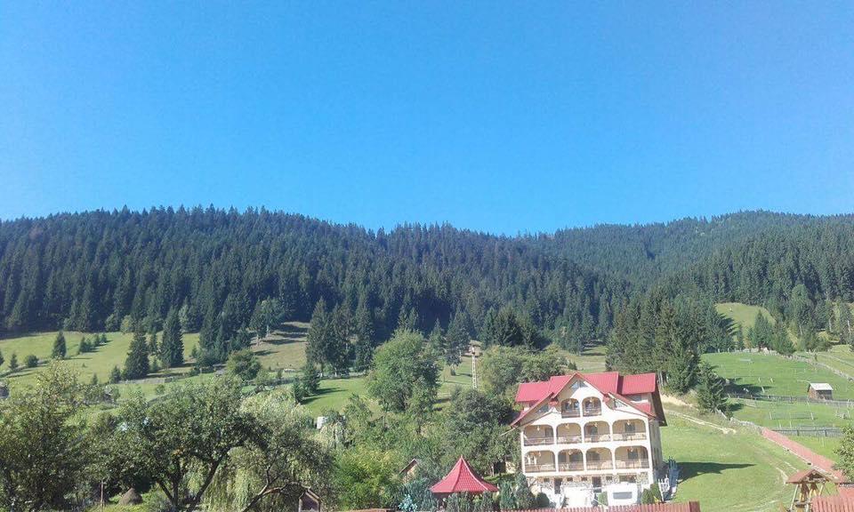 Hotel Pensiunea Alunis Sadova  Zewnętrze zdjęcie