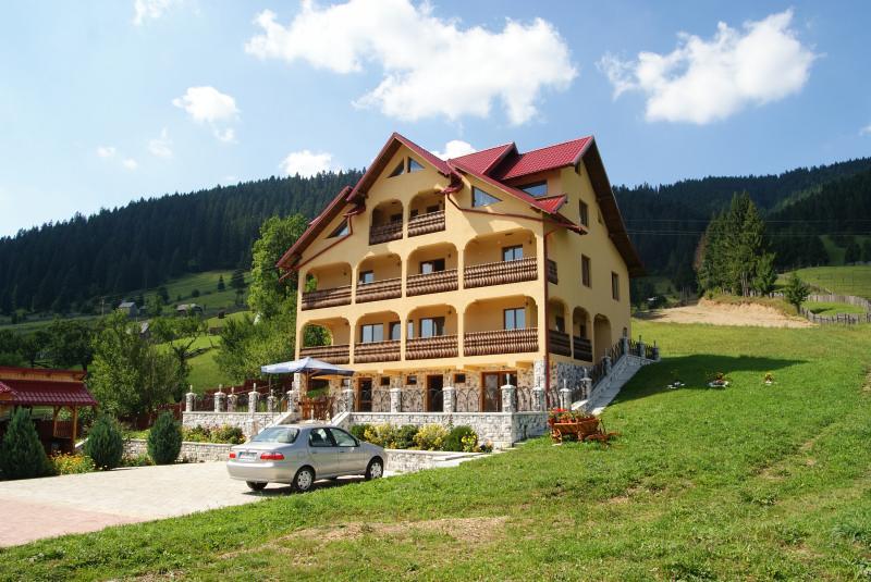 Hotel Pensiunea Alunis Sadova  Zewnętrze zdjęcie