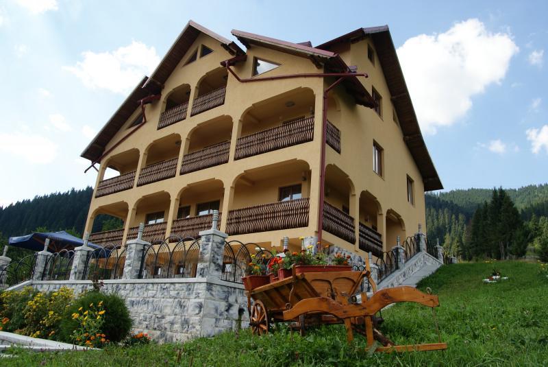 Hotel Pensiunea Alunis Sadova  Zewnętrze zdjęcie