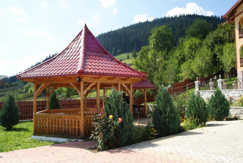 Hotel Pensiunea Alunis Sadova  Zewnętrze zdjęcie