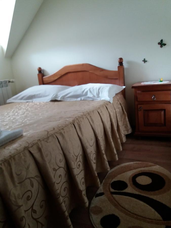 Hotel Pensiunea Alunis Sadova  Zewnętrze zdjęcie