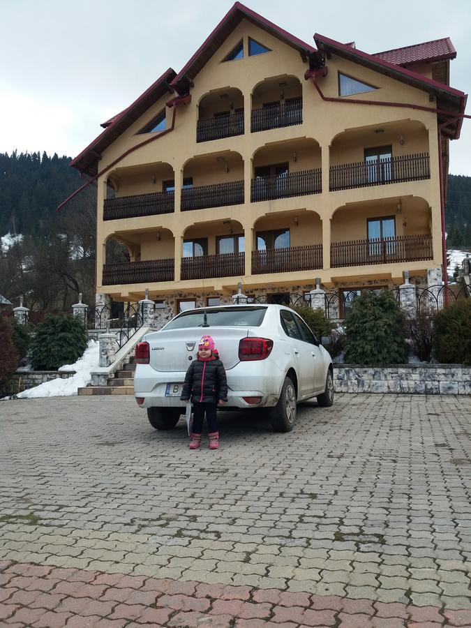 Hotel Pensiunea Alunis Sadova  Zewnętrze zdjęcie