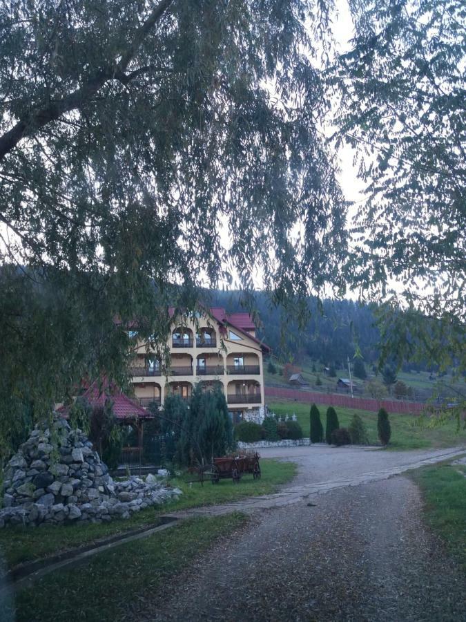 Hotel Pensiunea Alunis Sadova  Zewnętrze zdjęcie