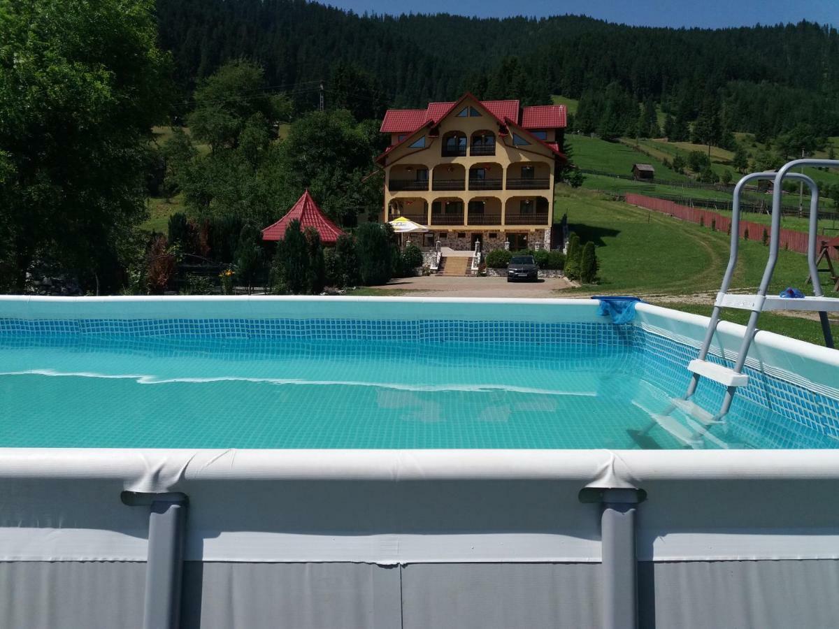 Hotel Pensiunea Alunis Sadova  Zewnętrze zdjęcie