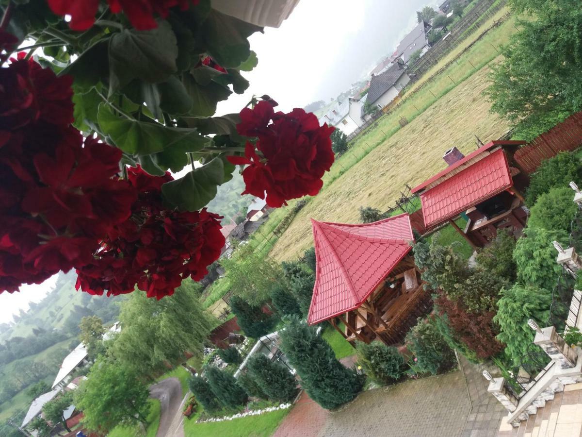 Hotel Pensiunea Alunis Sadova  Zewnętrze zdjęcie